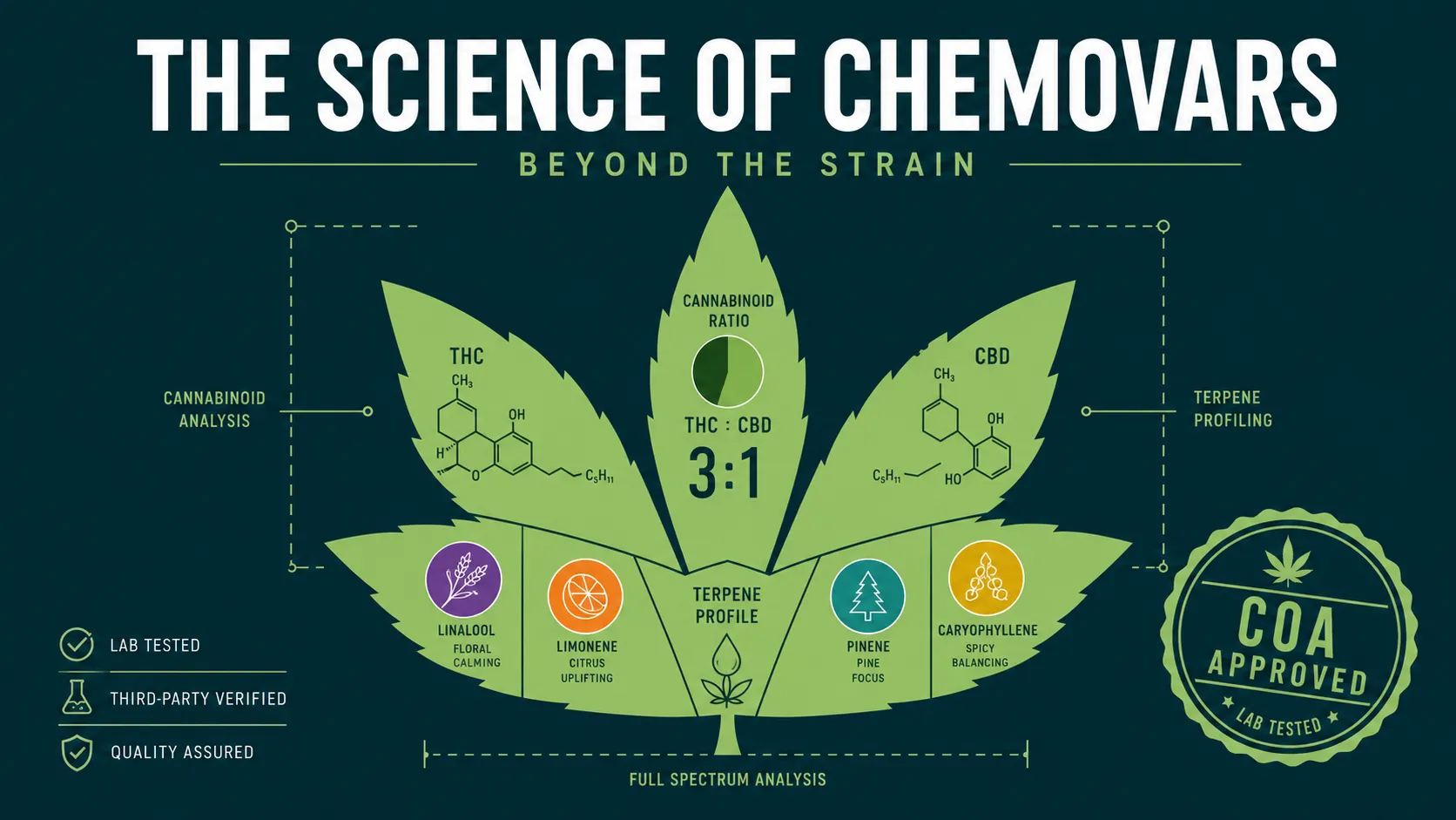 How Cannabis sativa L. defines the latest strain weed meaning