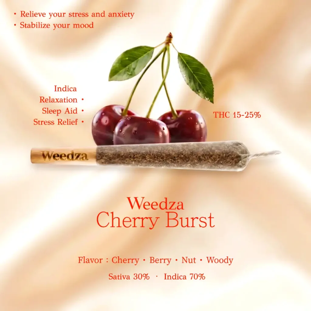 Cherry-Burst-en(1200x1200)