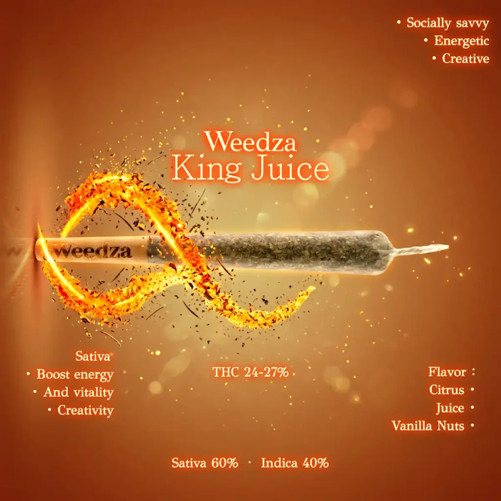 King-Juice-en(1200x1200)