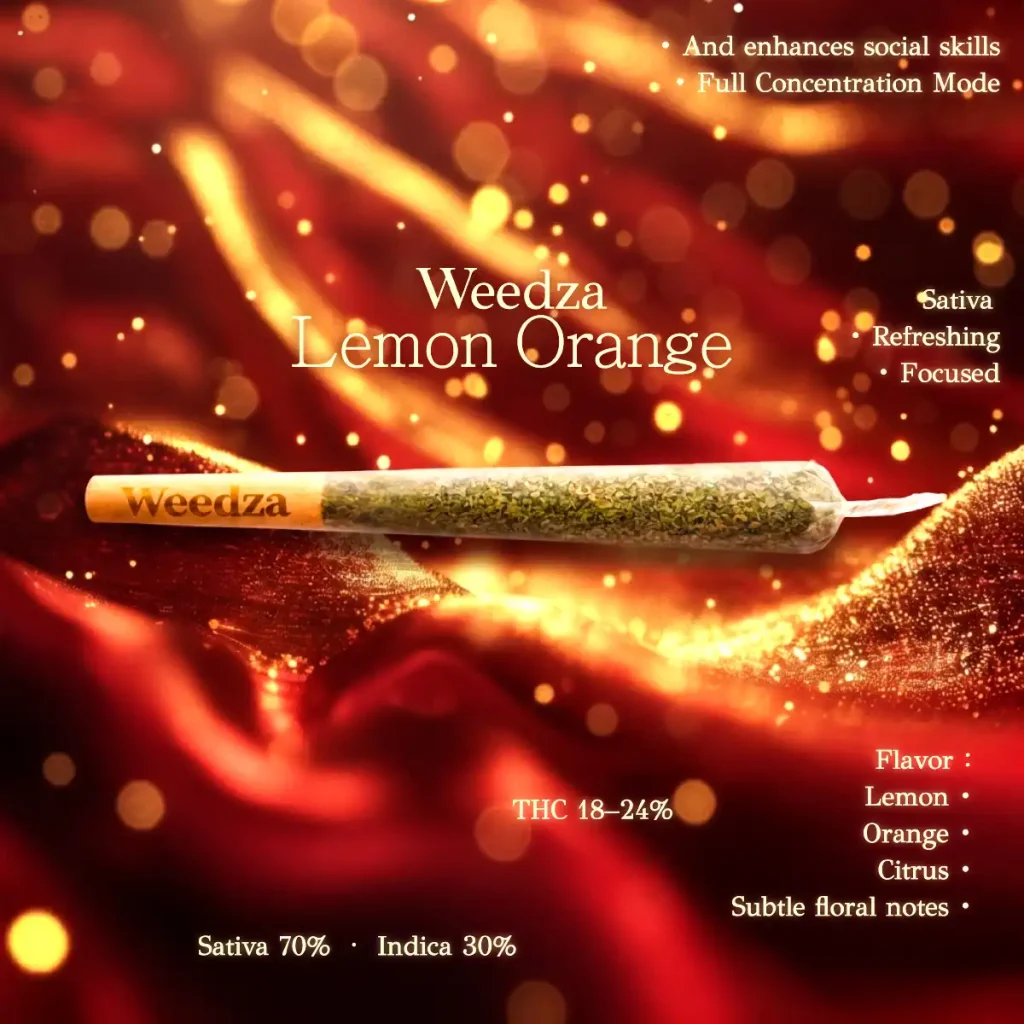 Lemon-Orange-en(1200x1200)