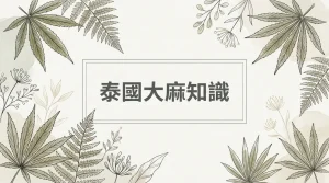 Thai cannabis knowledge