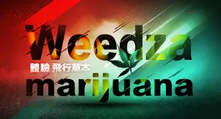 index_TopBanner01_app