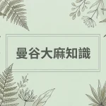 曼谷大麻知識