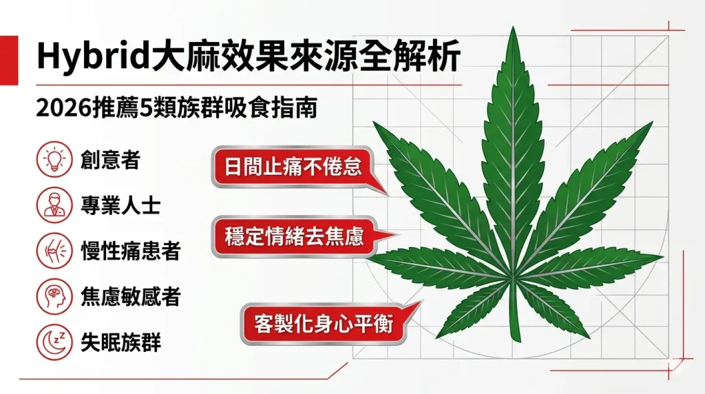 2026 Hybrid 大麻效果全解析封面圖，採用非對稱現代插畫風格。右側展示具備中等寬度特徵的混合品種葉片與銀色葉脈，左側垂直排列 5 類推薦族群圖示與核心功效標籤，配色延續品牌紅綠色調。