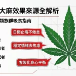 2026 Hybrid 大麻效果全解析封面圖，採用非對稱現代插畫風格。右側展示具備中等寬度特徵的混合品種葉片與銀色葉脈，左側垂直排列 5 類推薦族群圖示與核心功效標籤，配色延續品牌紅綠色調。