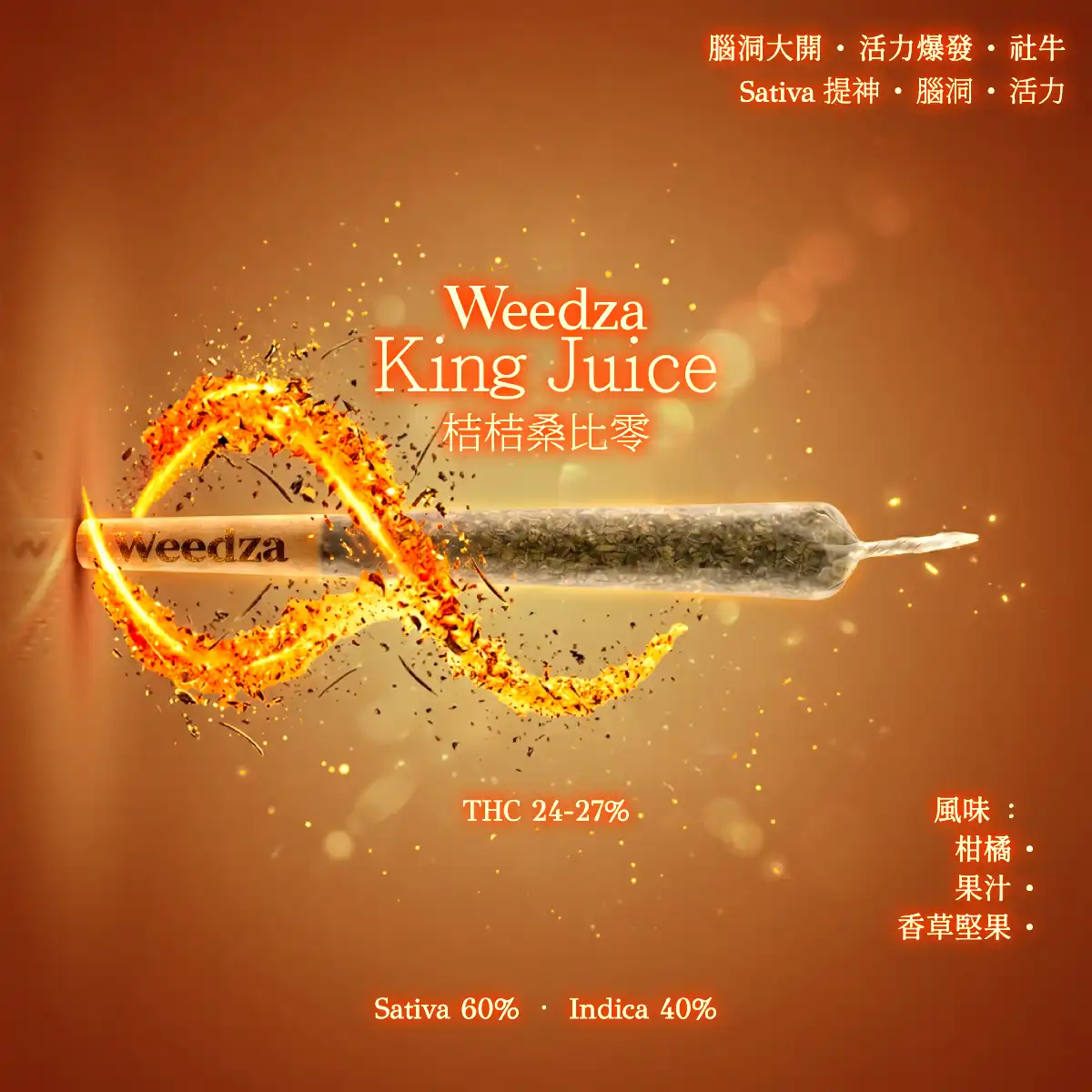 桔桔桑比零(1200x1200)