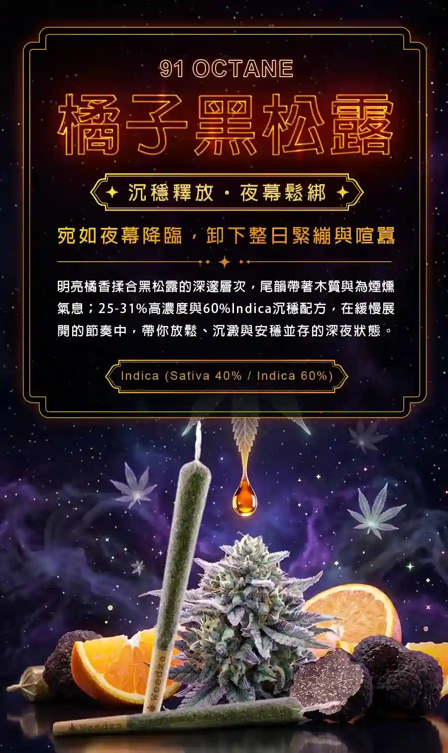 橘子黑松露-app-tw