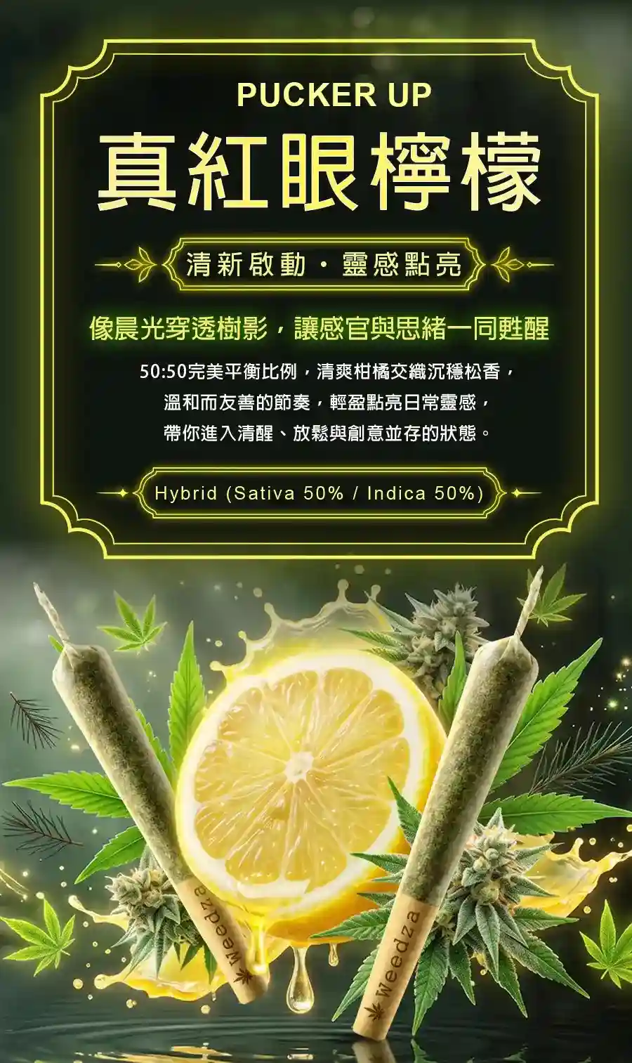 真紅眼檸檬-app-tw