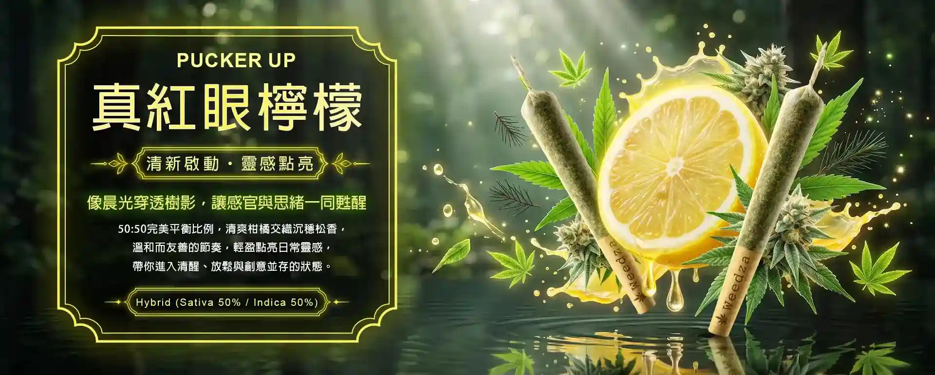 真紅眼檸檬-tw