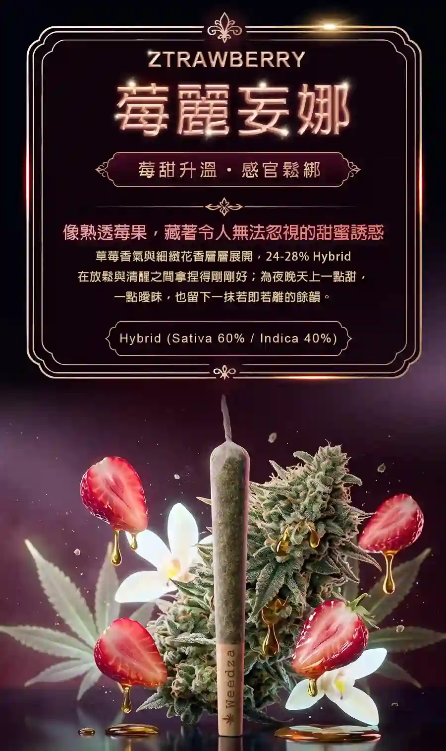 莓麗妄娜-app-tw