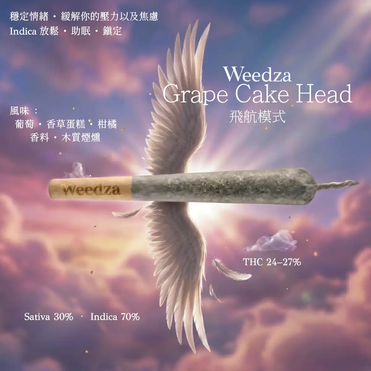 飛航模式(1200x1200)